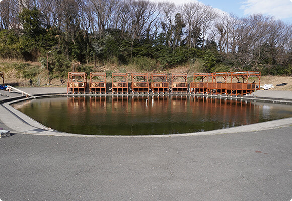 Berry Garden王禅寺