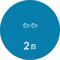 2匹