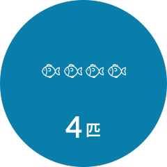 4匹